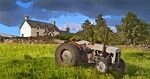 Out to Graze - Grey Ferguson Tractor, Lairg, Sutherland